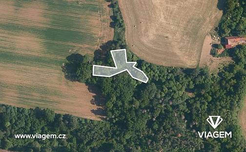 Prodej lesa 1 936 m², Katusice, okres Mladá Boleslav