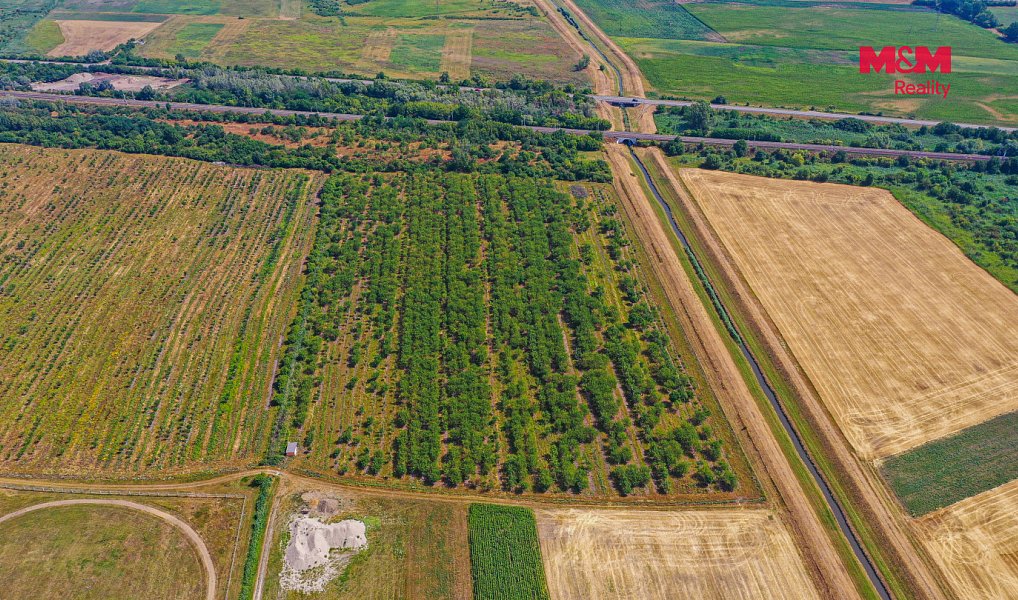 Prodej pole 53 078 m², Rakvice – náhled fotky 9