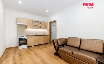 Pronájem bytu 1+1 53 m²