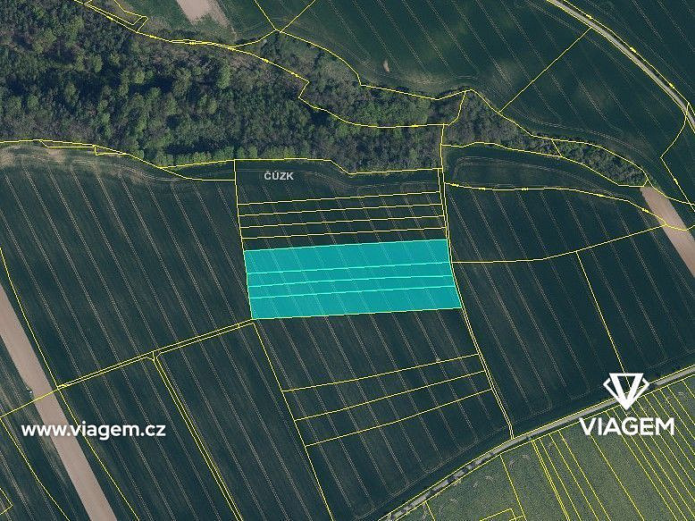 Pole 20 244 m², Podíl 33 % o výměře 6 748 m² – pohled 4