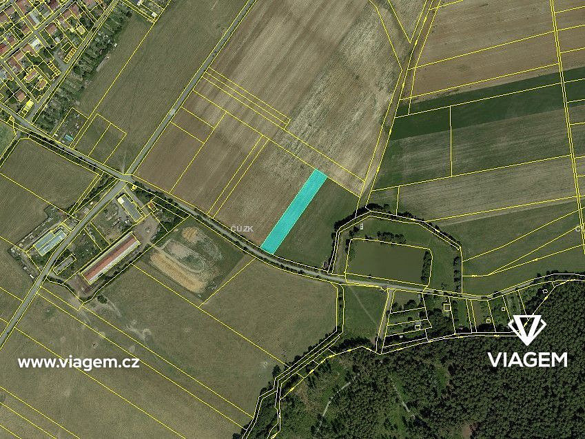 Prodej pole 1 425 m² – fotografie 3