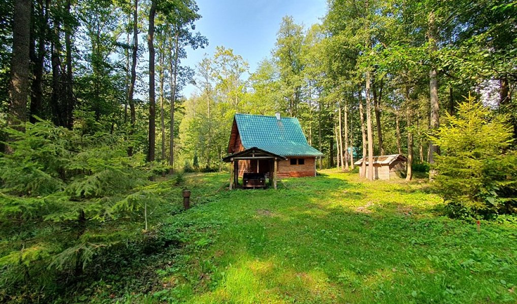 Prodej chaty/chalupy 70 m² s pozemkem 3 502 m², Malá Morávka – náhled fotky 2