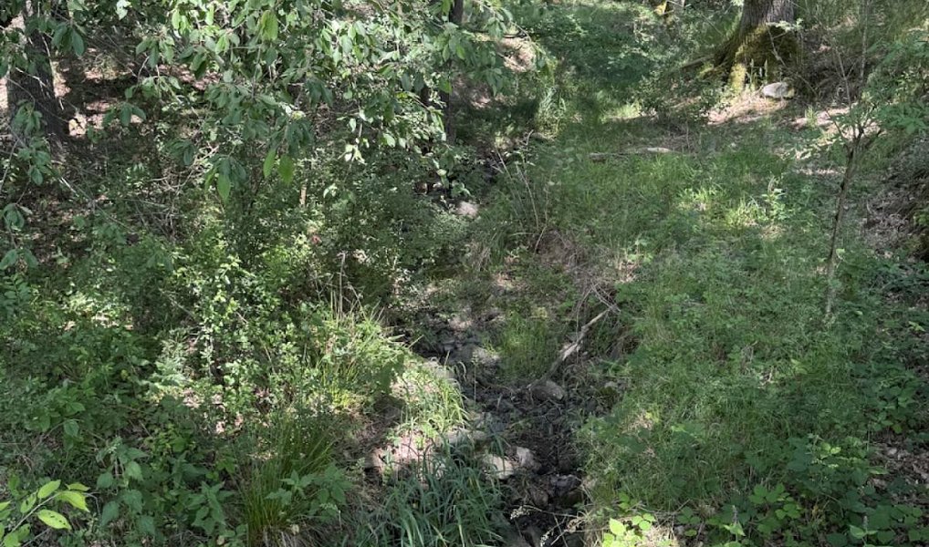 Prodej lesa 1 243 m², Kytlice – náhled fotky 3
