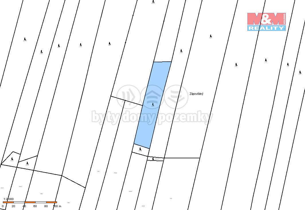 Prodej lesa 4 993 m² – fotografie 2
