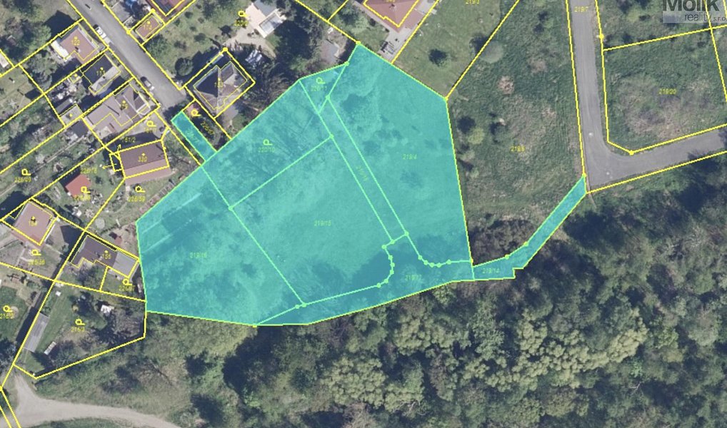 Prodej stavebního pozemku 6 468 m², Košťany – náhled fotky 2