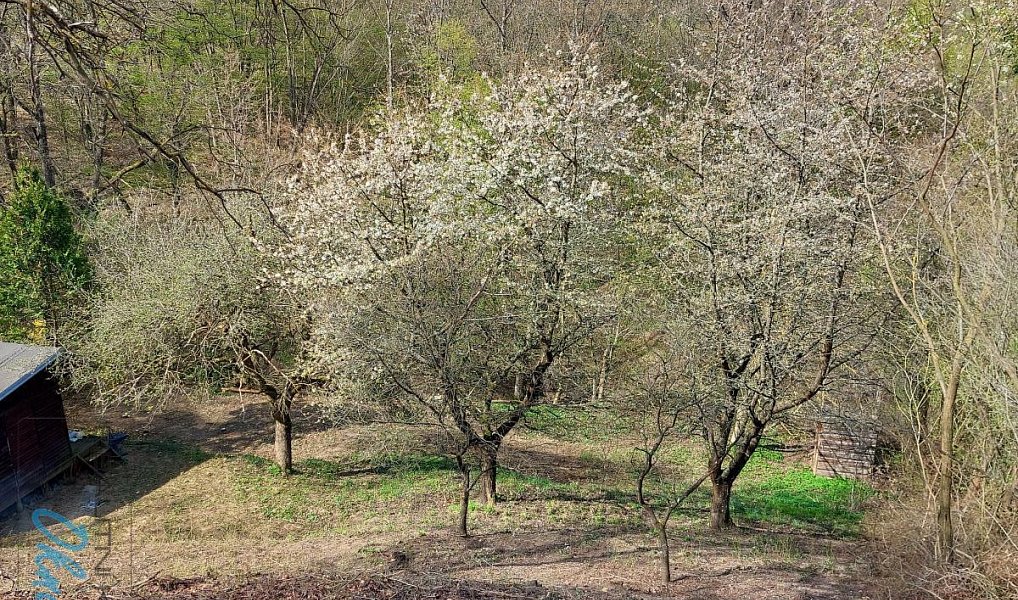 Prodej stavebního pozemku 1 778 m², Bílovice nad Svitavou – náhled fotky 6