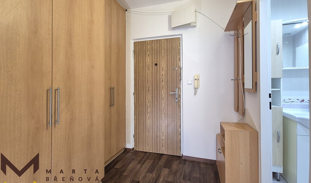 Pronájem bytu 1+kk 33 m², Brno – náhled fotky 8