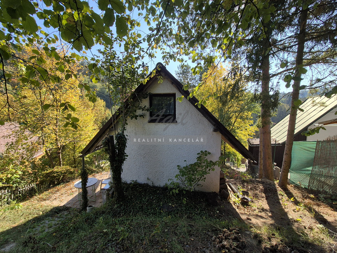 Fotka 11 z 24