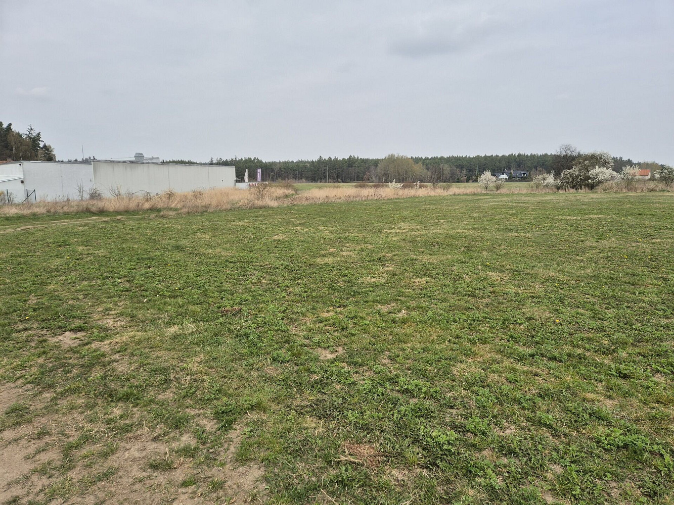 Prodej komerčního pozemku 2 917 m² – fotografie 4