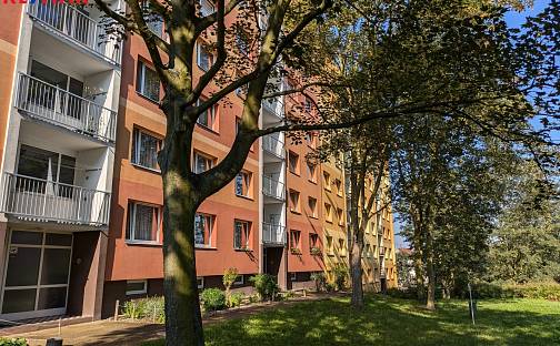 Pronájem bytu 1+1 36 m², Truhlářova, Ústí nad Labem - Střekov