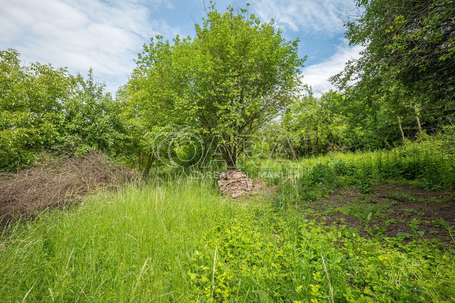 Fotka 4 z 25