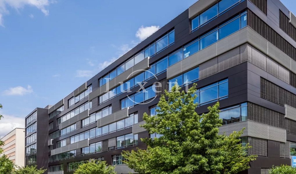 Pronájem kanceláře 490 m², Praha – náhled fotky 6