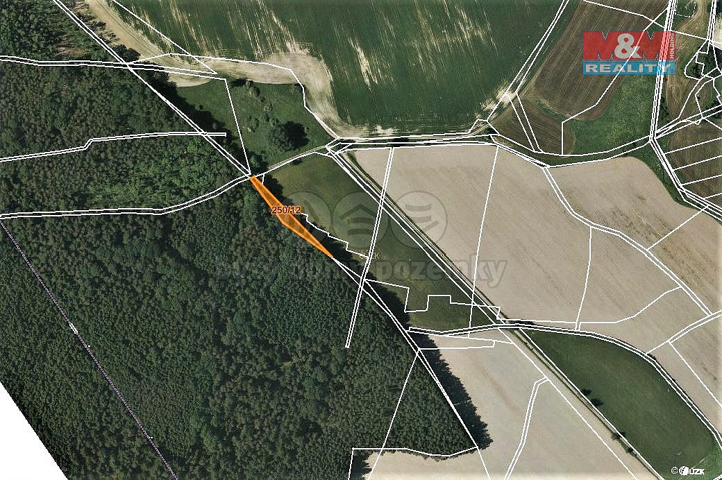 Prodej lesa 892 m² – fotografie 2