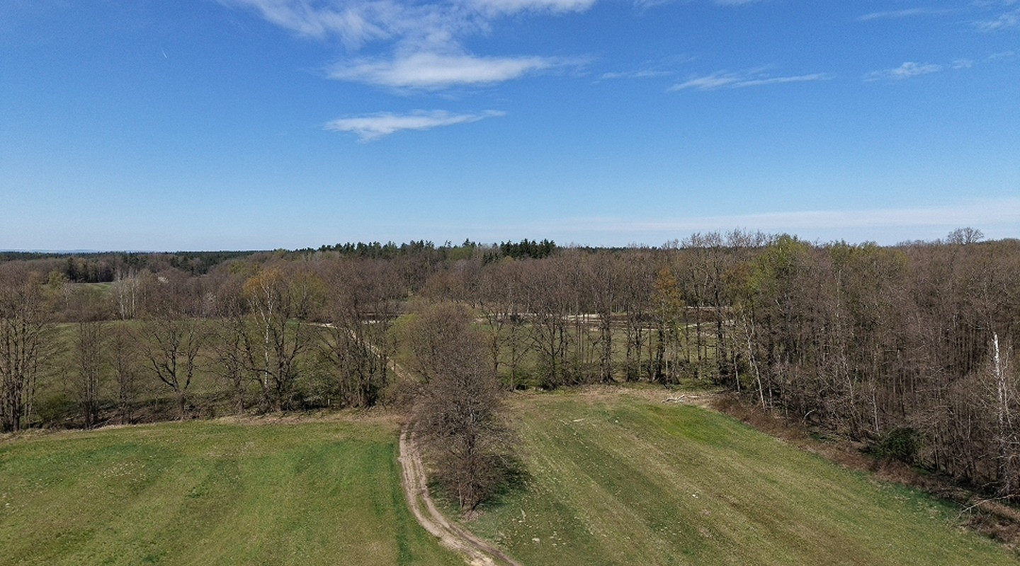 Prodej lesa 360 000 m² — photo 2
