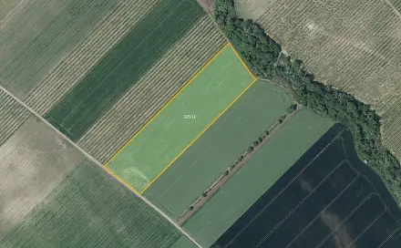 Prodej pole 21 043 m², Želkovice, okres Louny