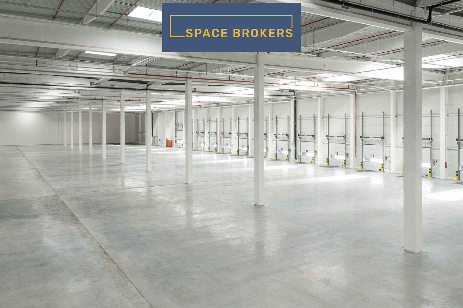 Pronájem skladovacích prostor 1 436 m² — photo 5
