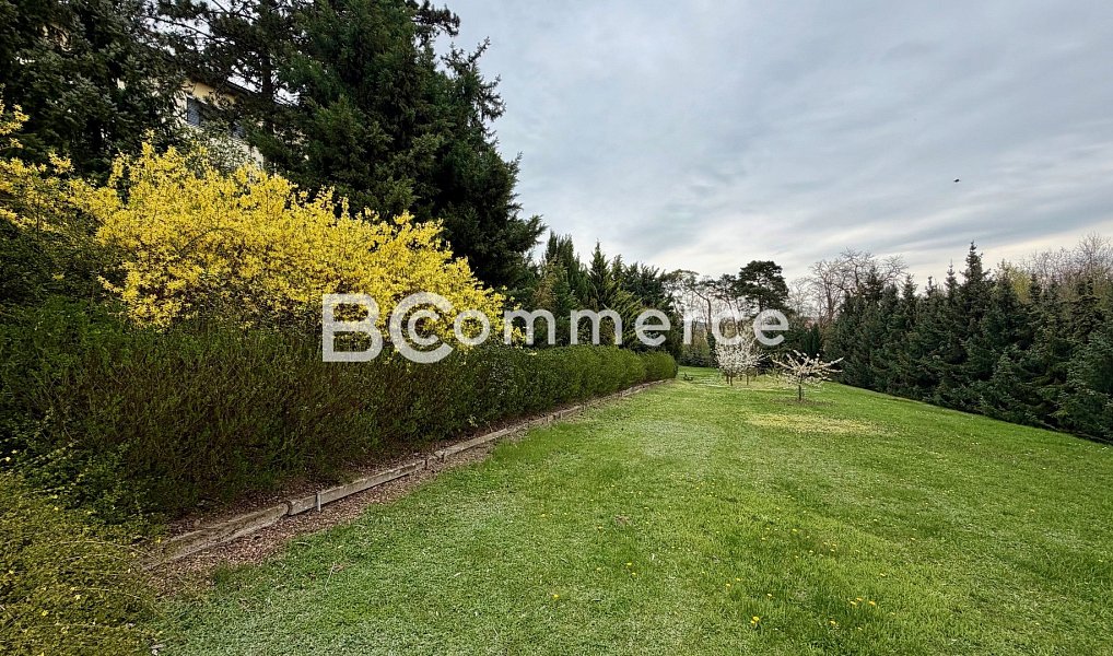 Prodej domu 270 m² s pozemkem 4 446 m², Dolní Kounice – náhled fotky 40