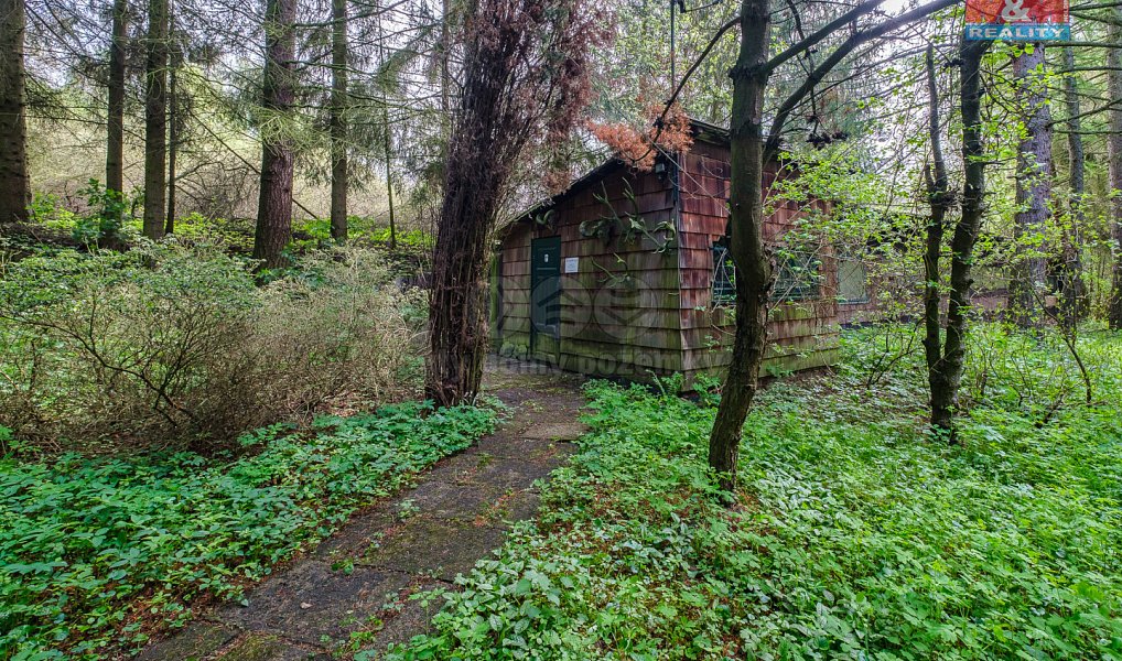 Prodej domu 105 m² s pozemkem 9 749 m², Krásný Les – náhled fotky 28
