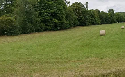 Pronájem louky 7 945 m², V Lukách, Nespeky - Městečko, okres Benešov