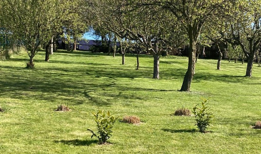 Prodej stavebního pozemku 1 118 m², Bílovec – náhled fotky 21