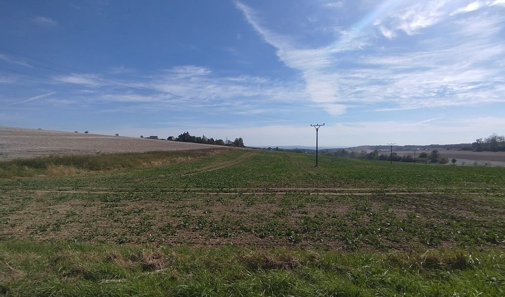 Prodej stavebního pozemku 56 184 m², Ježkovice – náhled fotky 18