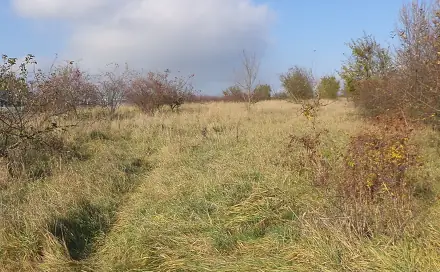 Dražba zahrady 637 m², Otrokovice