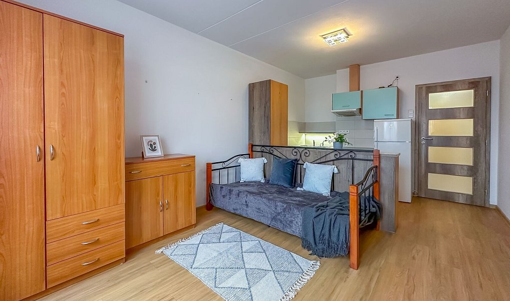 Pronájem bytu 1+kk 27 m², Horní Bříza – náhled fotky 2