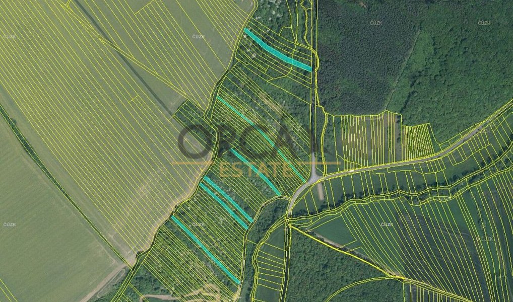 Prodej pole 17 736 m², Březolupy – náhled fotky 3