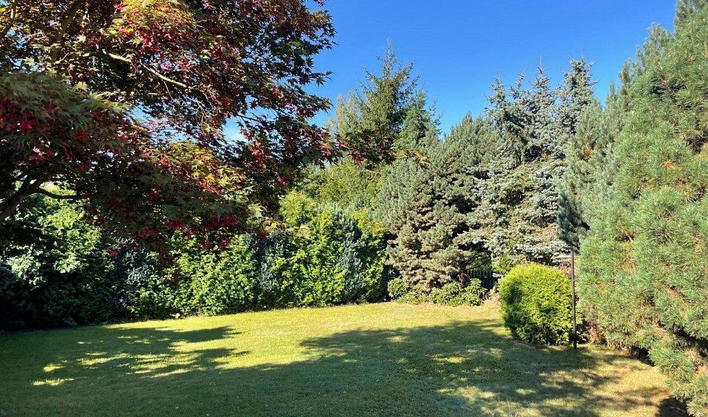 Prodej domu 321 m² s pozemkem 833 m², Liberec – náhled fotky 5