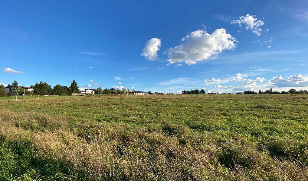 Prodej komerčního pozemku 28 436 m², Kolová – náhled fotky 2