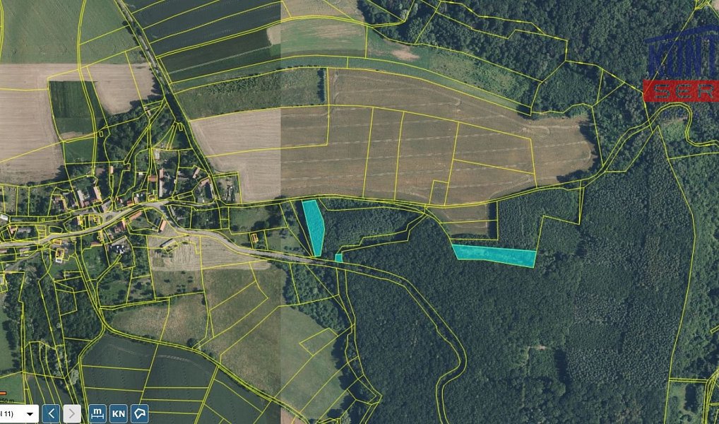 Prodej lesa 32 004 m², Bačalky – náhled fotky 2