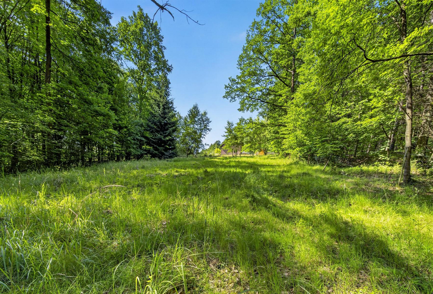 Prodej stavebního pozemku 2 167 m² – fotografie 5
