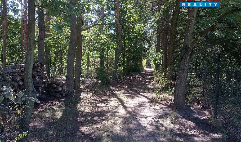 Prodej stavebního pozemku 4 271 m², Tišice – náhled fotky 9