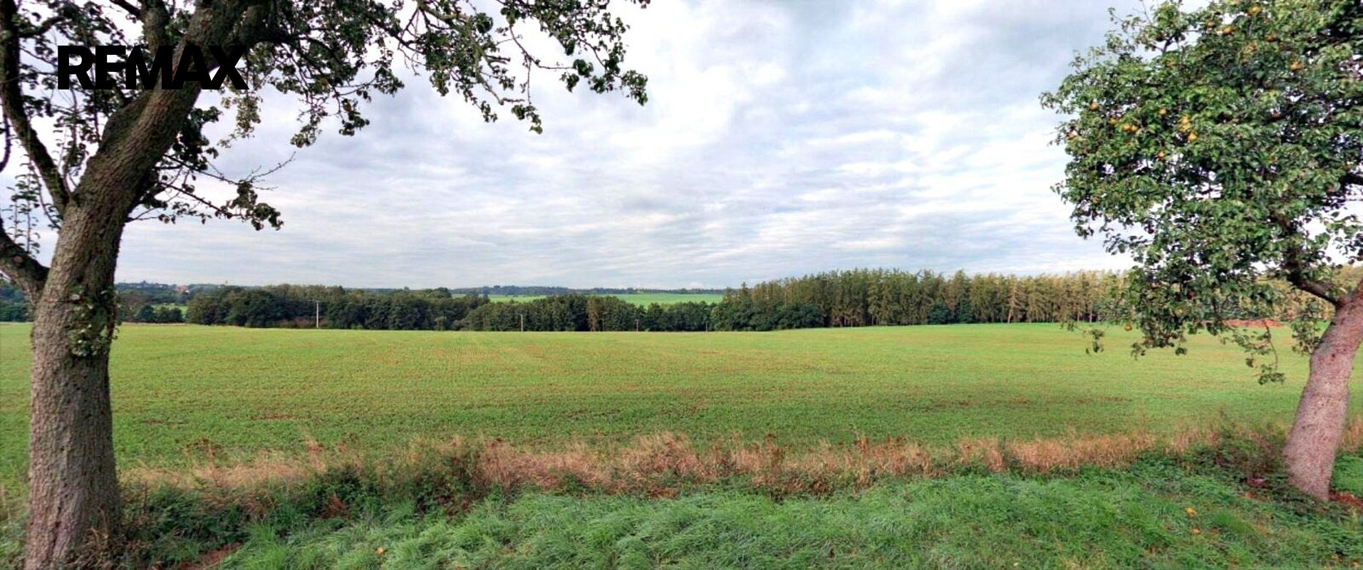 Prodej pole 22 505 m² – fotografie 3