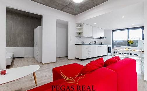 Pronájem bytu 2+kk 51 m², Křenová, Brno - Trnitá