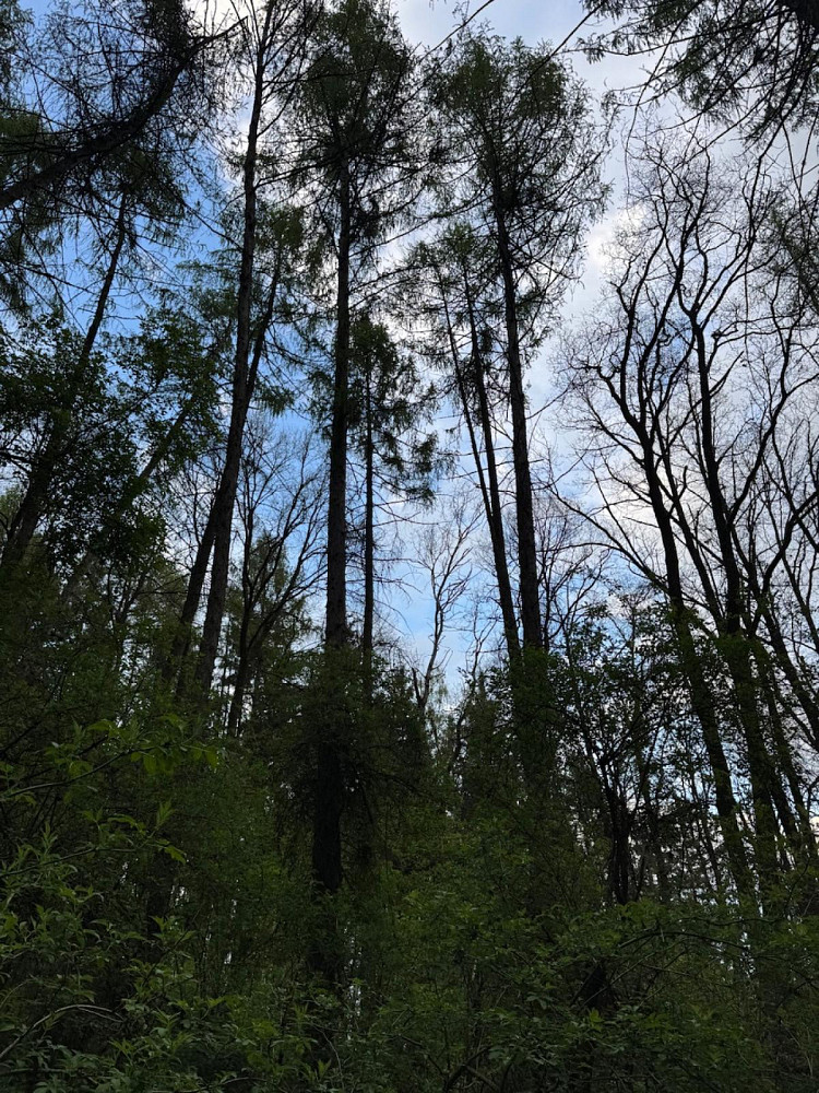Fotka 6 z 15