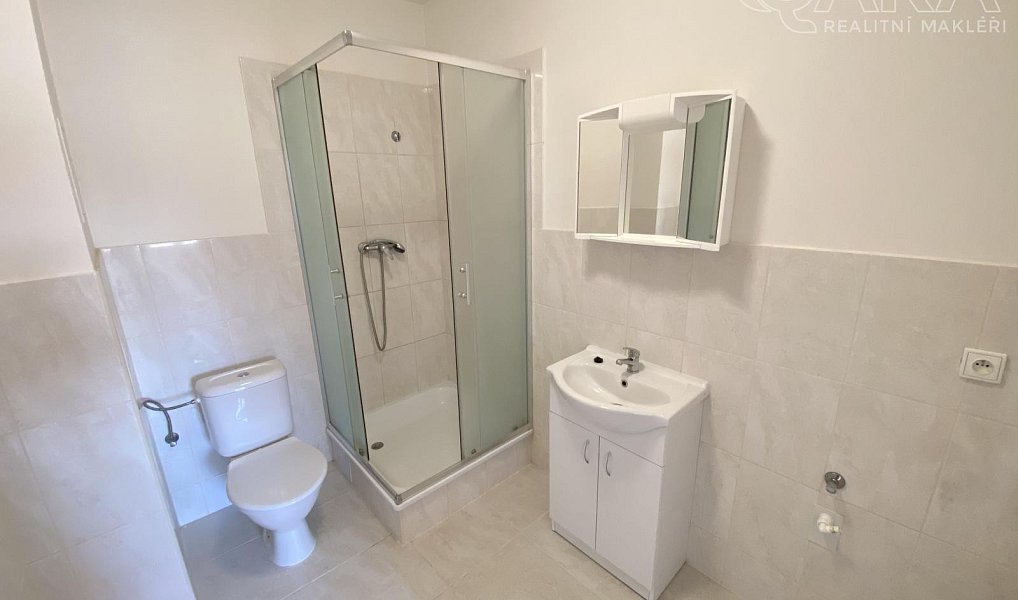 Pronájem bytu 1+kk 46 m², Ivanovice na Hané – náhled fotky 9