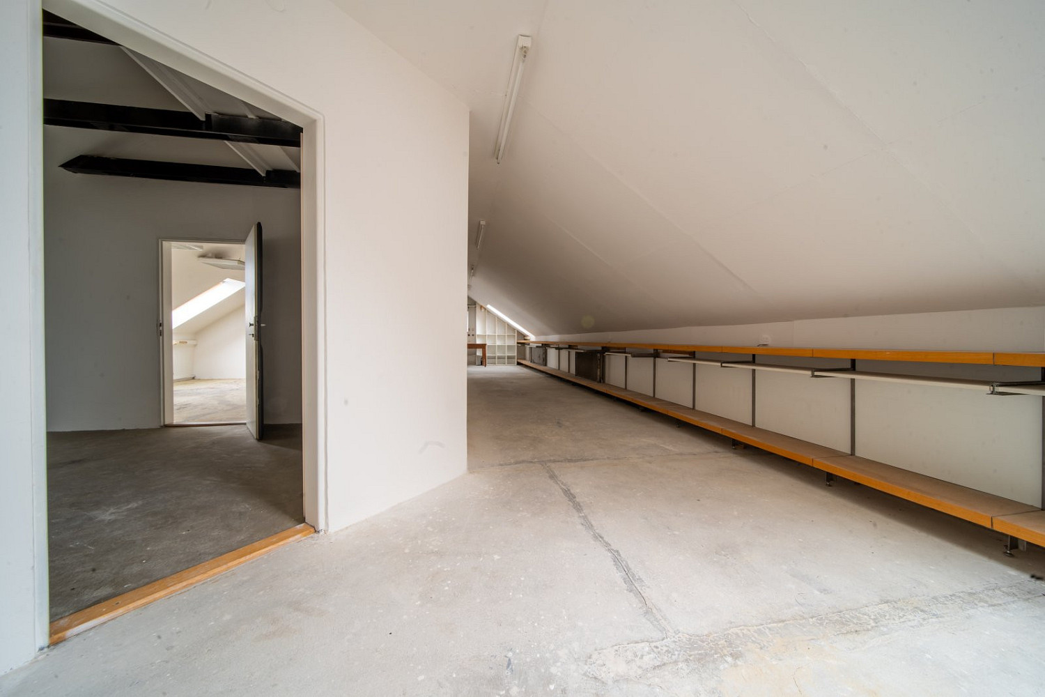 Prodej kanceláře 300 m² — photo 4