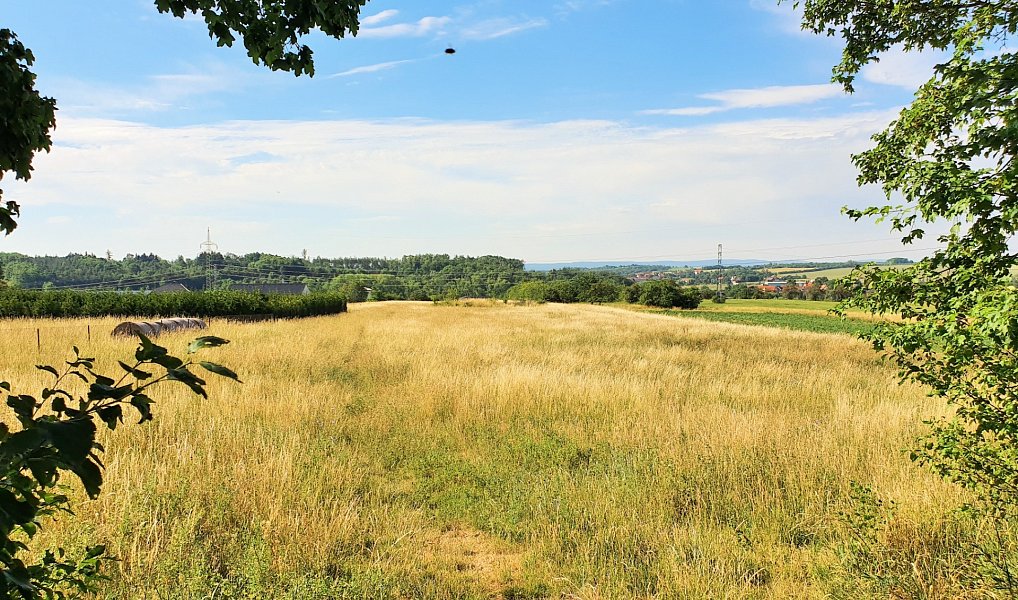 Prodej stavebního pozemku 5 462 m², Vysoký Újezd – náhled fotky 6