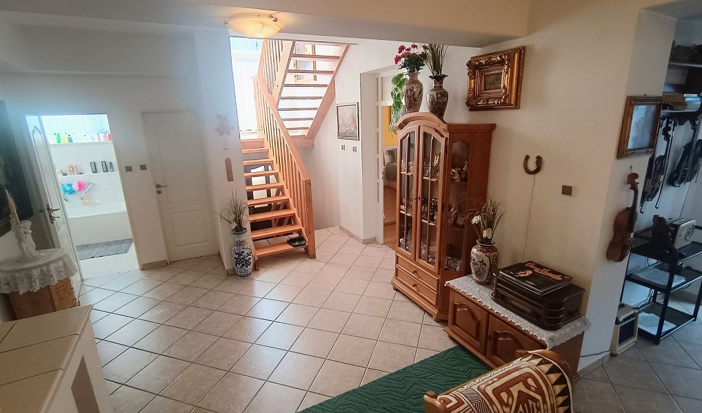 Prodej domu 268 m² s pozemkem 1 347 m², Plzeň – náhled fotky 8