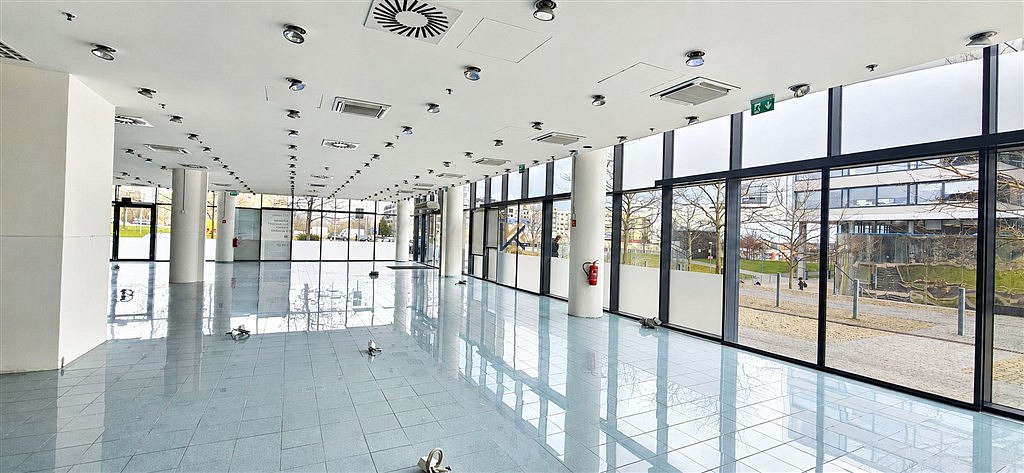 Pronájem obchodních prostor 262 m²