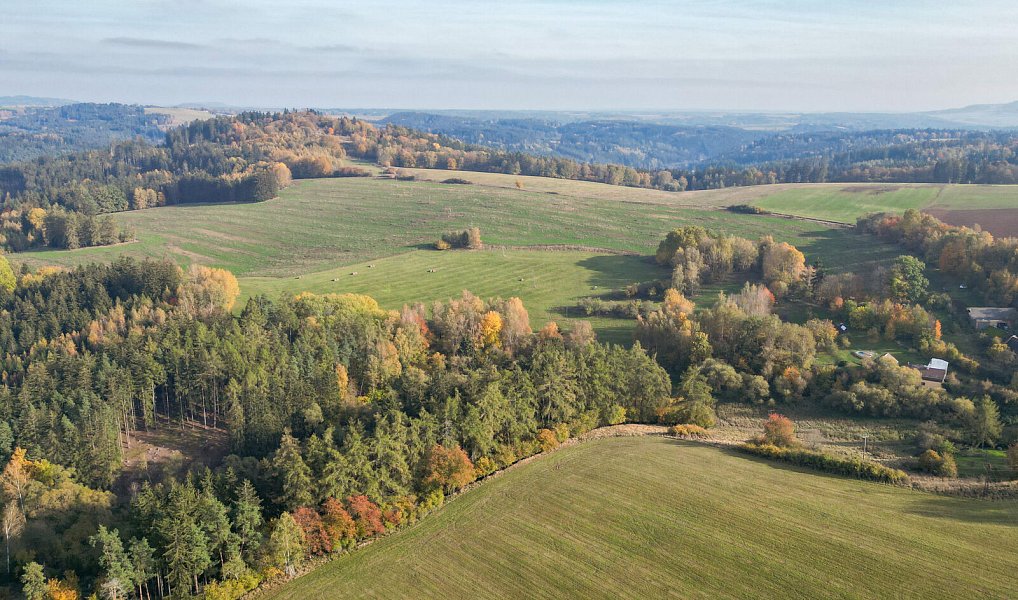 Prodej pozemku 15 970 m², Planá – náhled fotky 9