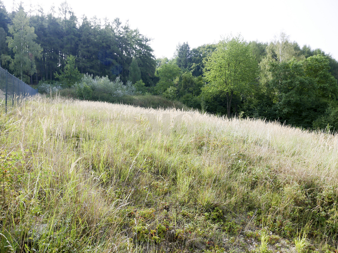 Prodej stavebního pozemku 1 744 m² – fotografie 4