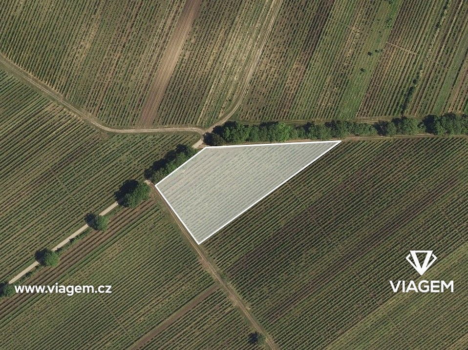 Prodej pole 922 m² – fotografie 2