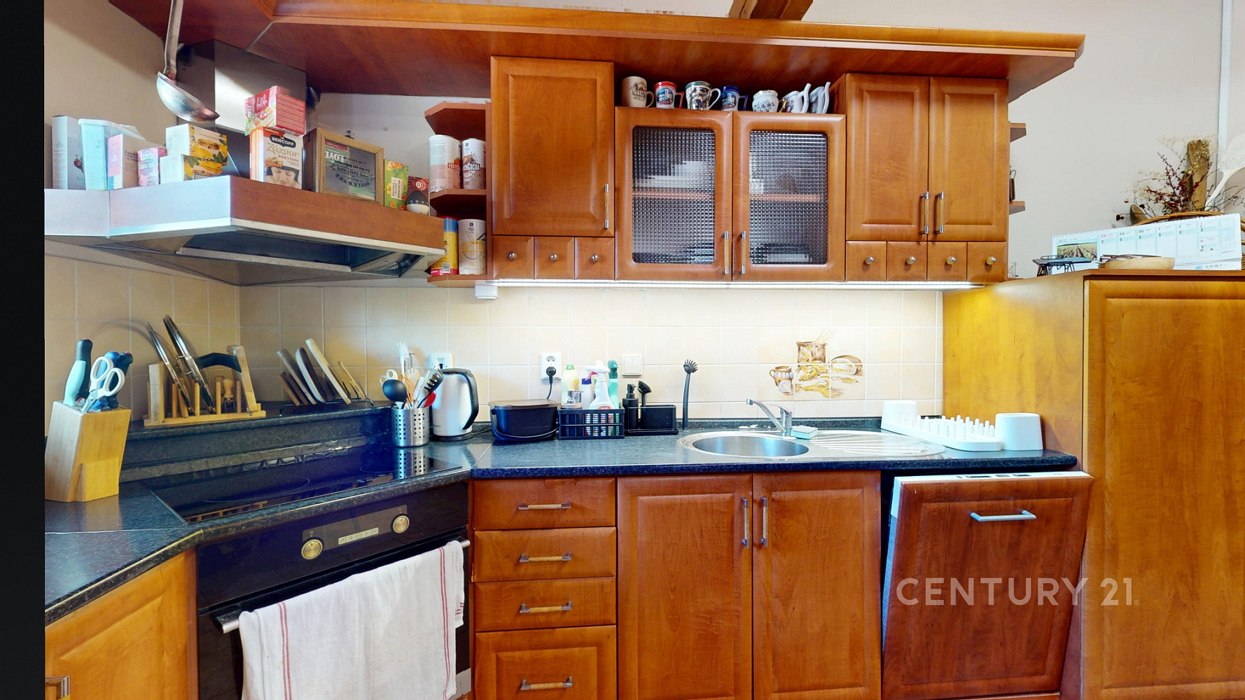 Prodej domu 294 m² s pozemkem 3 067 m² – fotografie 5