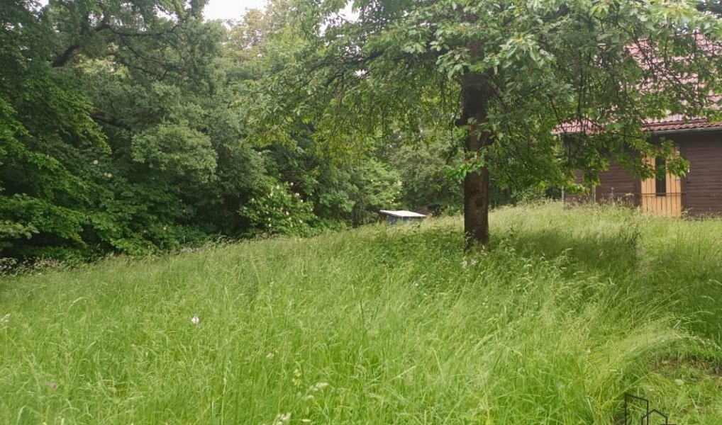 Prodej chaty/chalupy 36 m² s pozemkem 38 m², Velké Chvojno – náhled fotky 15