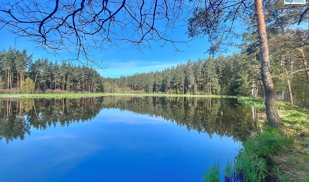 Prodej vodní plochy 16 545 m², Trstěnice – náhled fotky 3