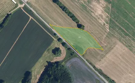 Prodej louky 9 806 m², Zborov, okres Šumperk