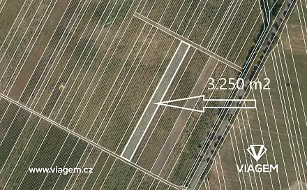 Prodej pole 3 250 m², Valtice, okres Břeclav