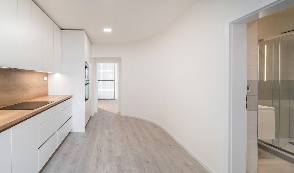 Prodej bytu 1+1 50 m², Brno – náhled fotky 5